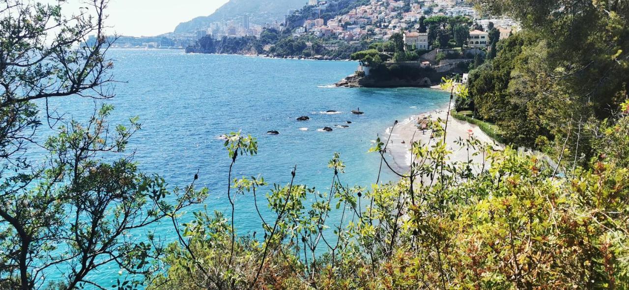 Vue Magnifique, Piscine Privee Chauffee Et Sauna A 10Min De Monaco Roquebrune-Cap-Martin Exterior foto